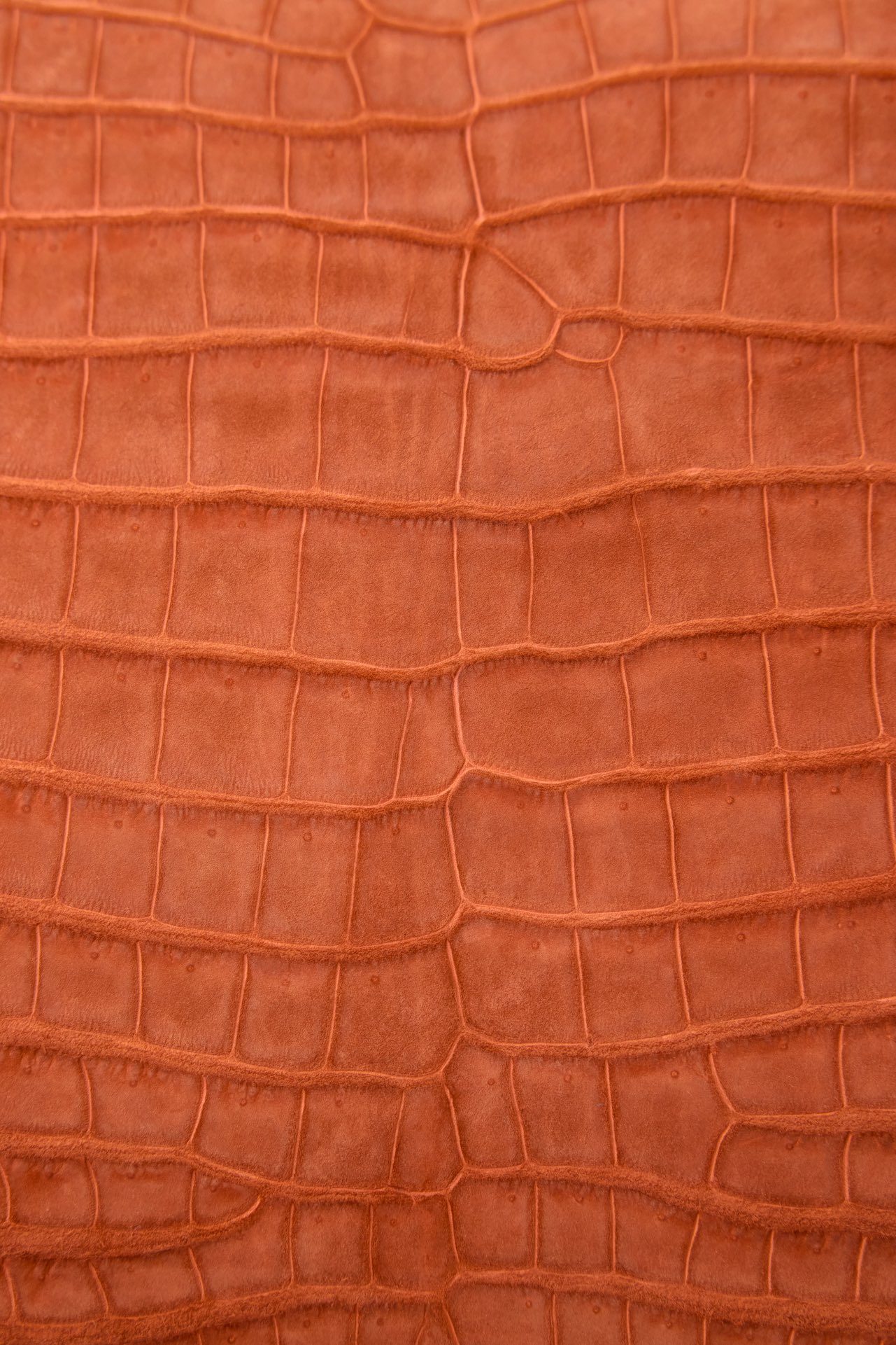 66eb68dd5d36613e90036ea18fa66c75_1718079675_6415.jpg 66eb68dd5d36613e90036ea18fa66c75_1718079675_6415.jpg