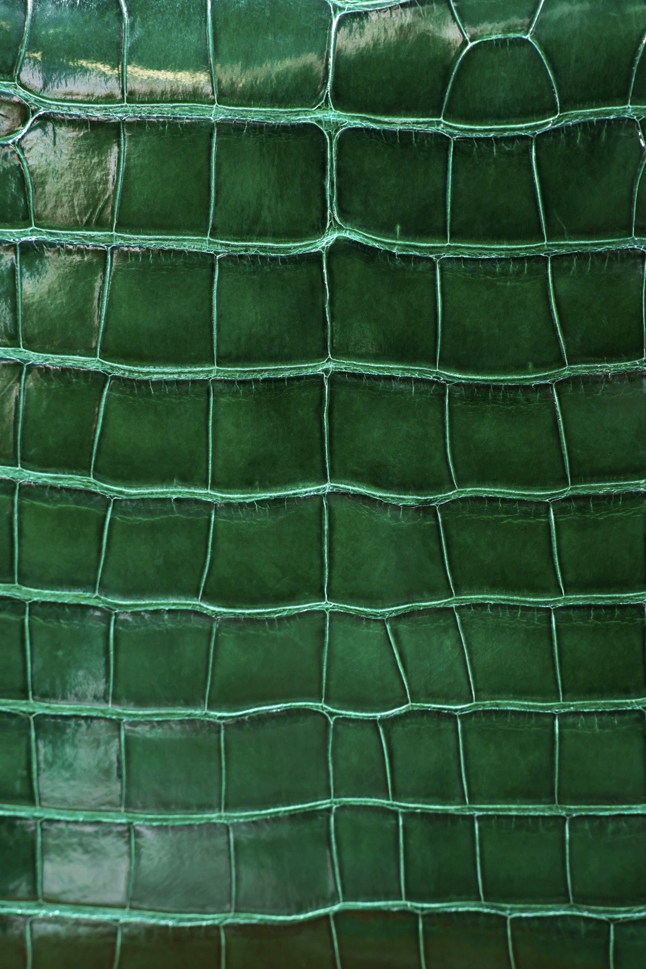 66eb68dd5d36613e90036ea18fa66c75_1718081136_8197.jpg 66eb68dd5d36613e90036ea18fa66c75_1718081136_8197.jpg