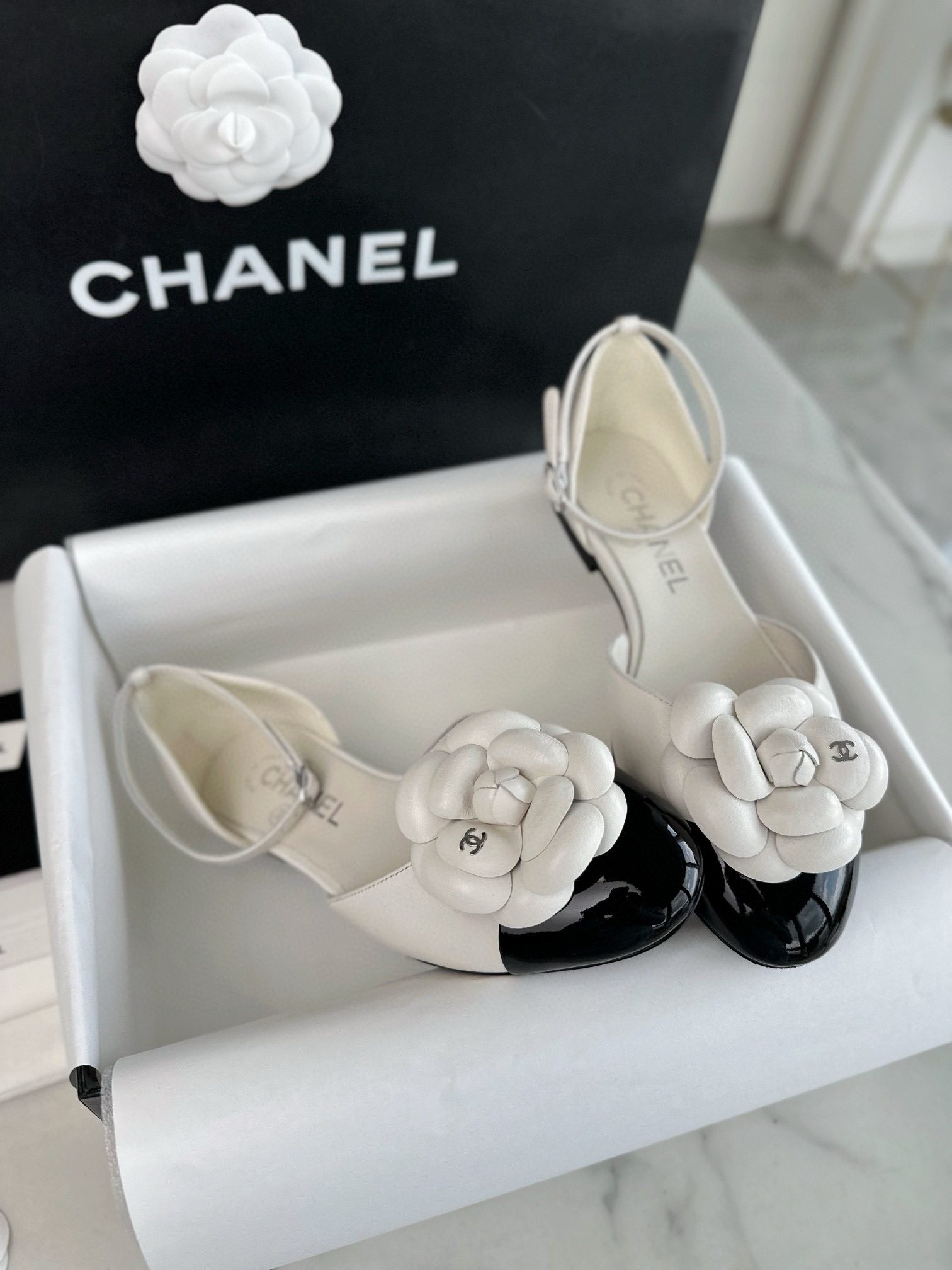 660dbc1c8566fad31d309448d49c0315_1723178312_3012.jpg 660dbc1c8566fad31d309448d49c0315_1723178312_3012.jpg