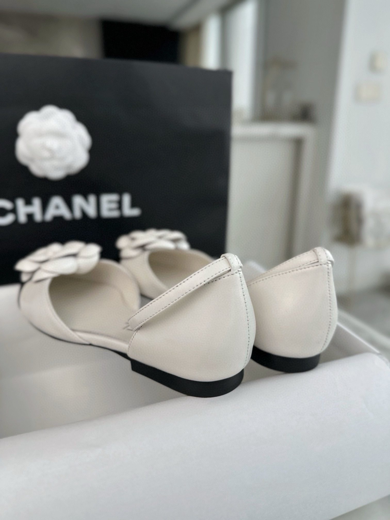 660dbc1c8566fad31d309448d49c0315_1723178330_2538.jpg 660dbc1c8566fad31d309448d49c0315_1723178330_2538.jpg