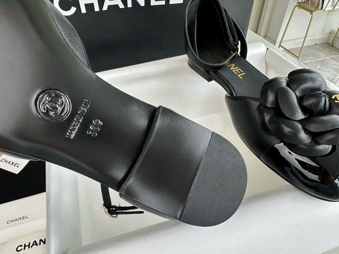 660dbc1c8566fad31d309448d49c0315_1723178395_8094.jpg 660dbc1c8566fad31d309448d49c0315_1723178395_8094.jpg