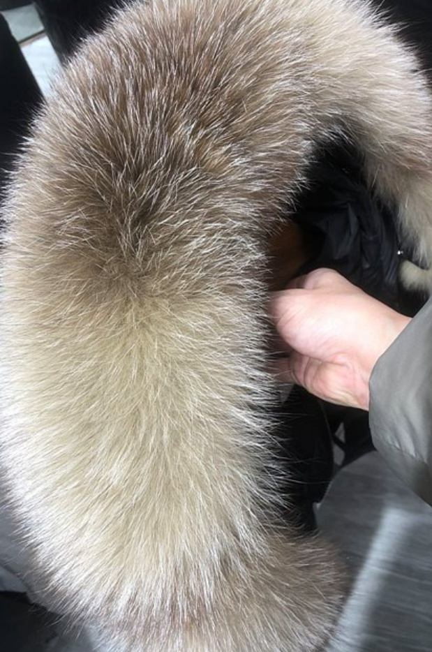 d5d20ab7eb5ce95e3687218df0809577_1729583302_8608.png d5d20ab7eb5ce95e3687218df0809577_1729583302_8608.png