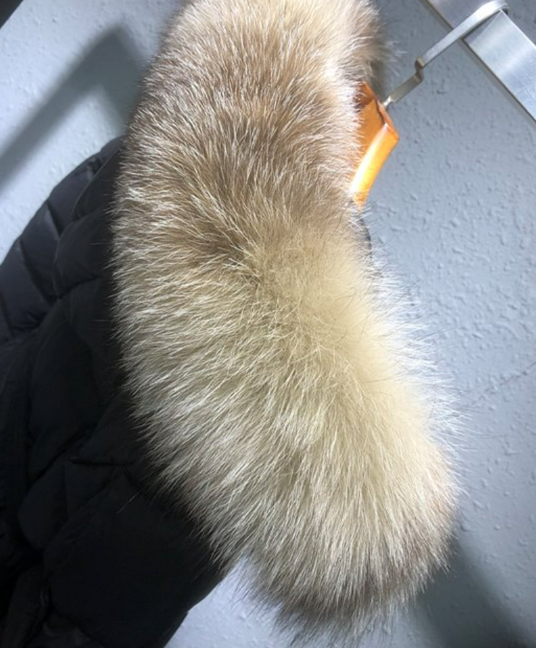 d5d20ab7eb5ce95e3687218df0809577_1729583308_7758.png d5d20ab7eb5ce95e3687218df0809577_1729583308_7758.png