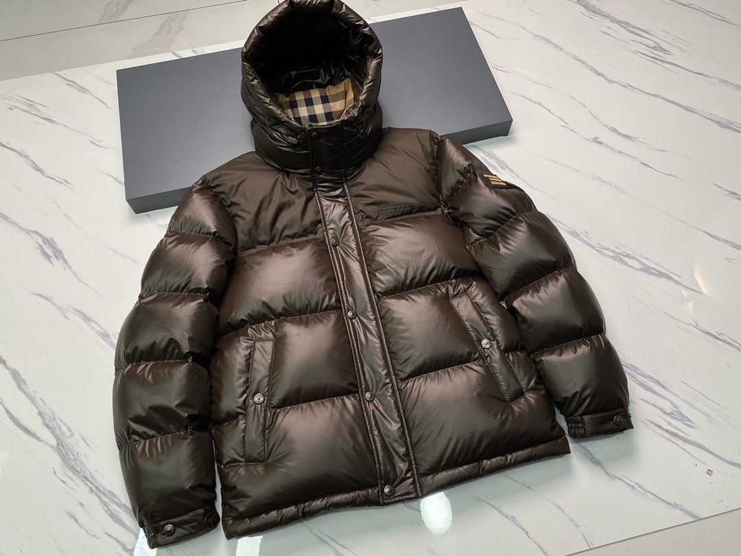 2a996a01aea73f28d62beb84af7f6fc2_1731639679_1022.jpg 2a996a01aea73f28d62beb84af7f6fc2_1731639679_1022.jpg