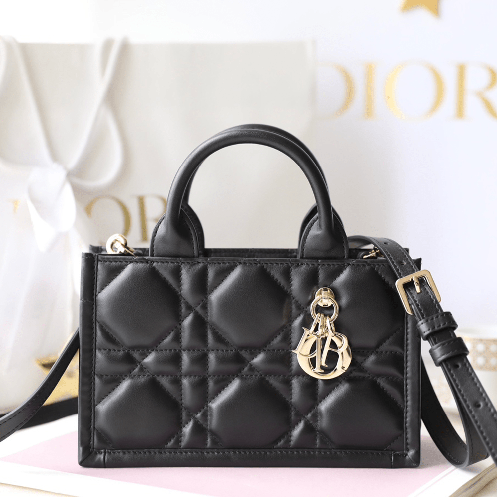 디올 북 토트 레더 백 미니 까나쥬 블랙 유광