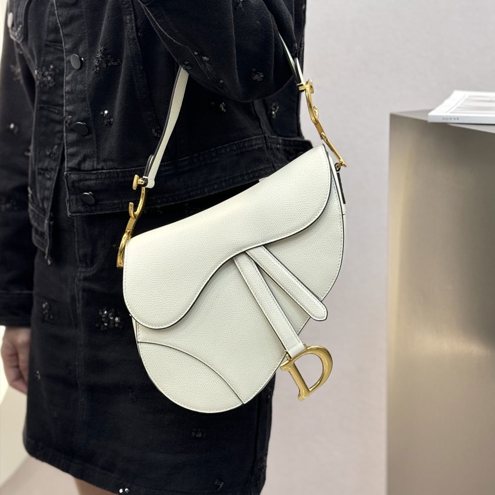 디올 새들 미듐 호보백 화이트