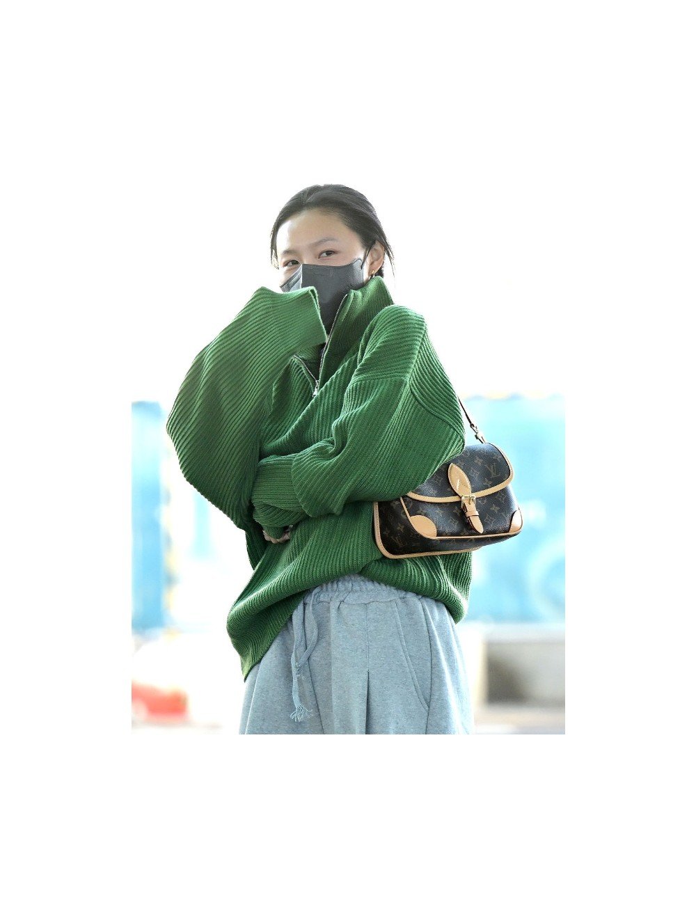 [화사 PICK] 루이비통 다이앤 모노그램 핸드백