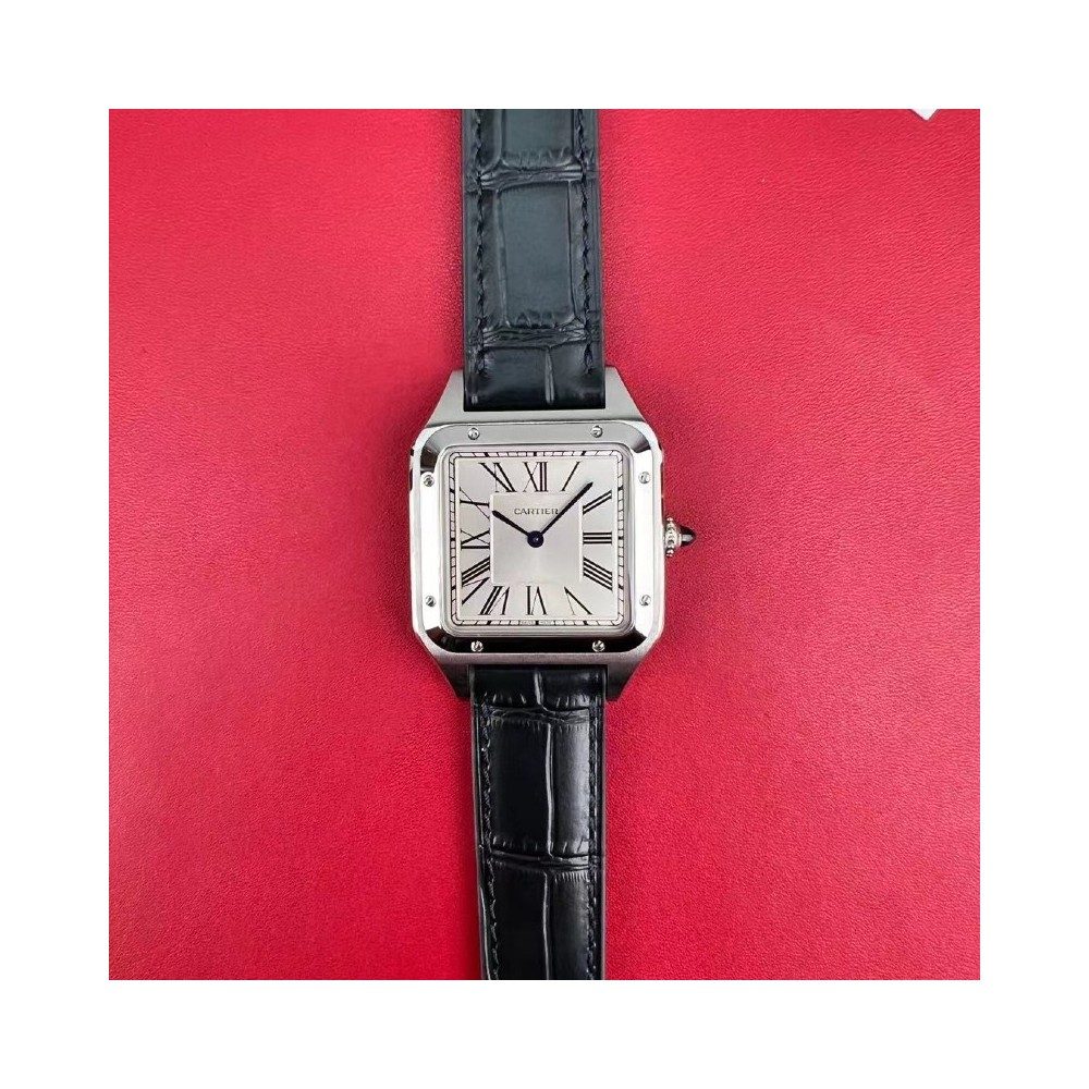 [더빠른배송] F1 산토스 뒤몽 라지 QC완료